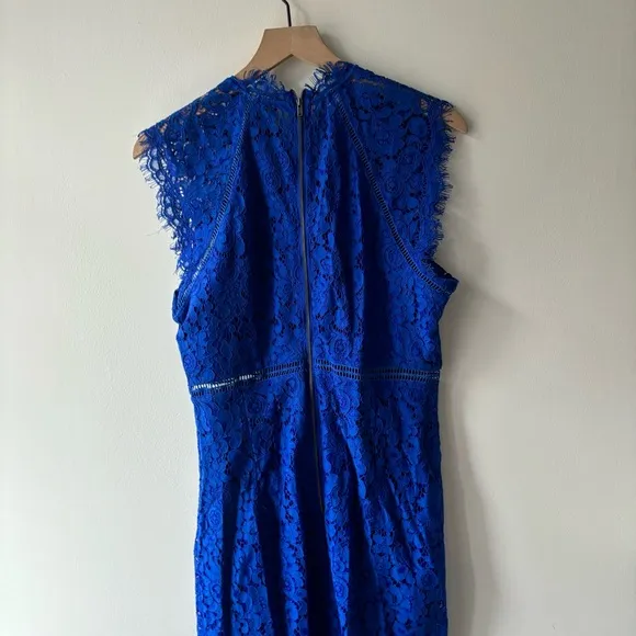 Bardot Lace Panel Dress In Cobalt Sz XL