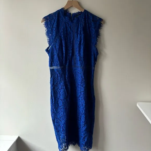 Bardot Lace Panel Dress In Cobalt Sz XL