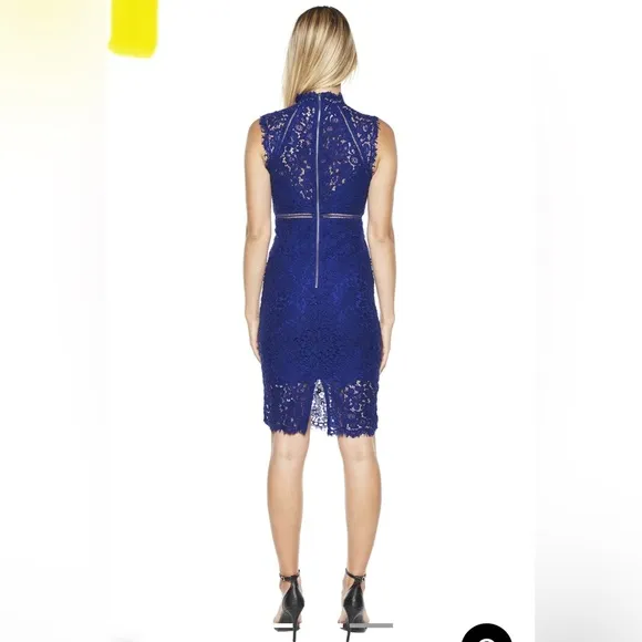 Bardot Lace Panel Dress In Cobalt Sz XL