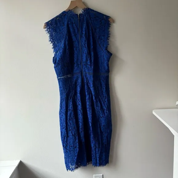 Bardot Lace Panel Dress In Cobalt Sz XL