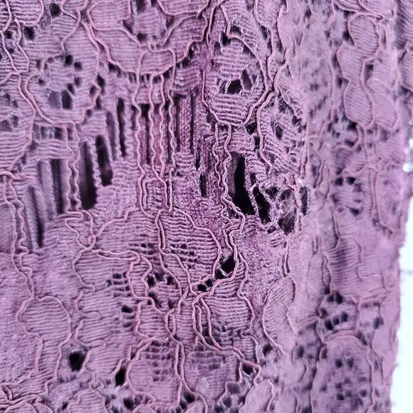 Betsy &amp; Adam Deep Plum Crystal Waist Lace Formal Mother of the Bride Dress SZ 6