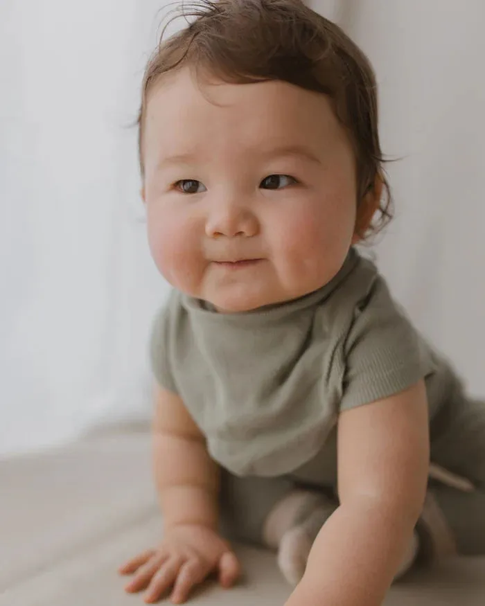 Bib - Sage