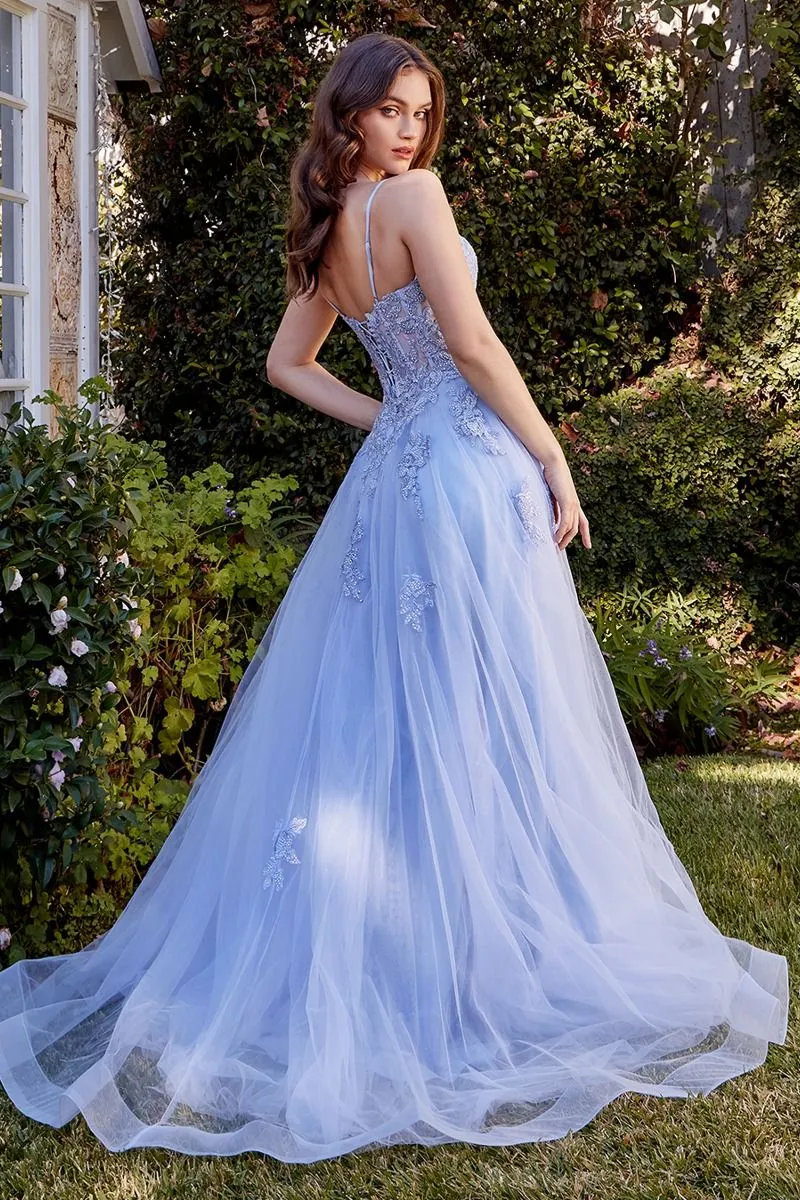 Cinderella Divine- A1417