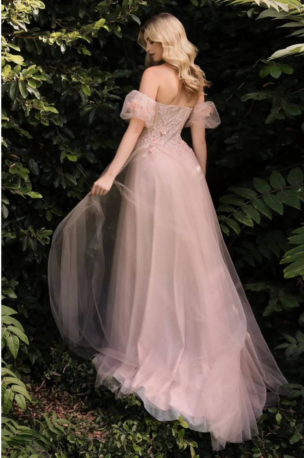 Cinderella Divine CB080