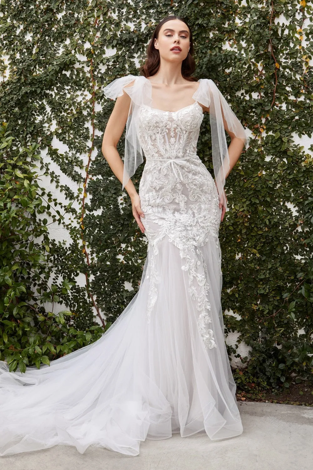 Cinderella Evening Dress A1086W