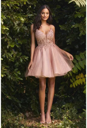 Cinderella Evening Dress CD0189