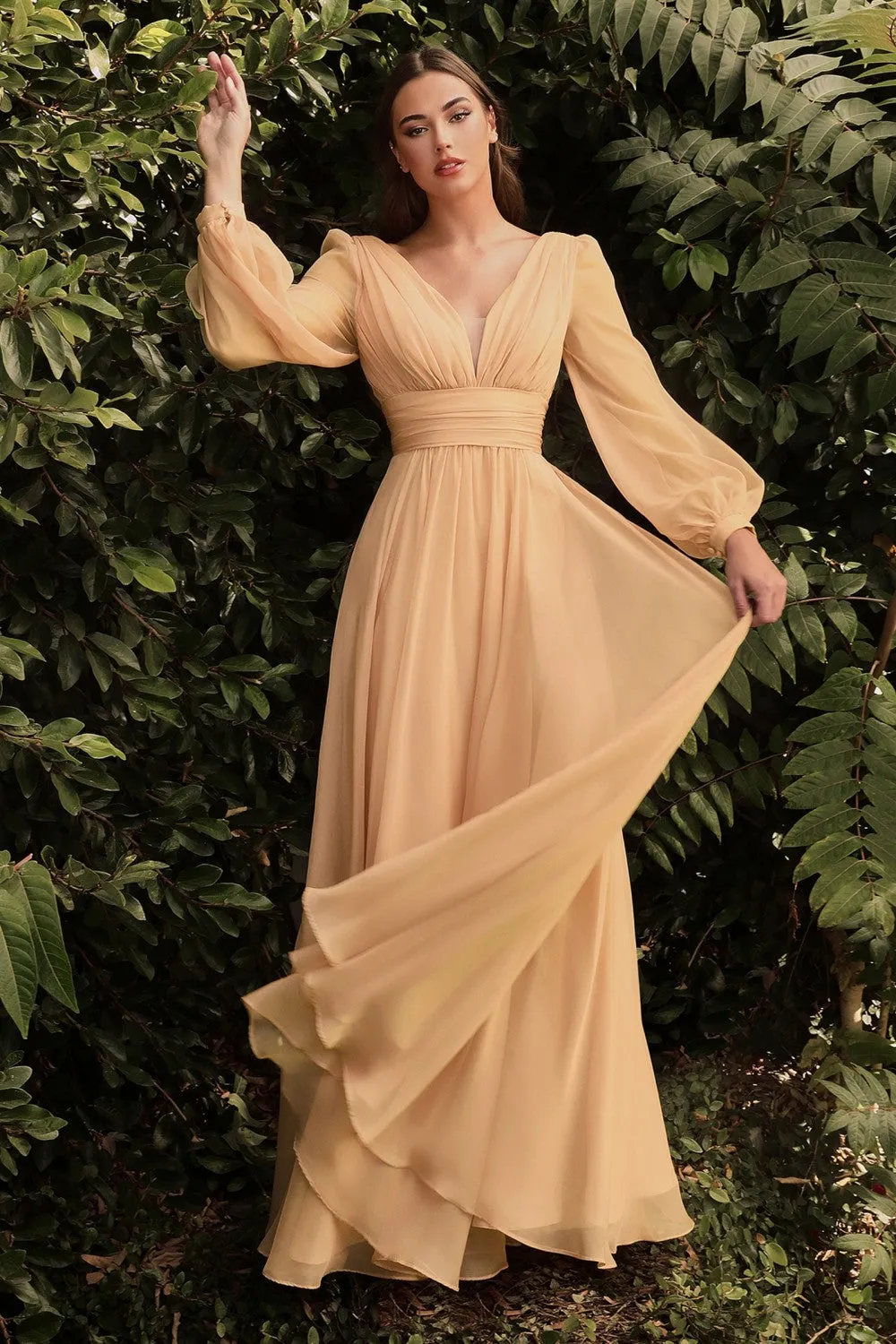 Cinderella Evening Dress CD0192