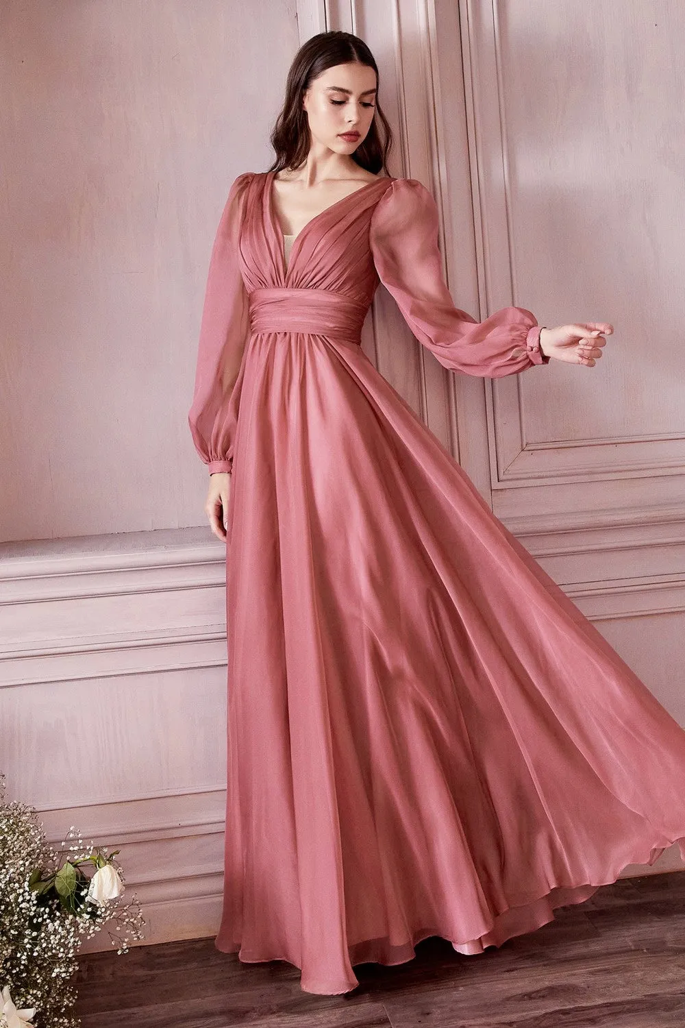 Cinderella Evening Dress CD0192