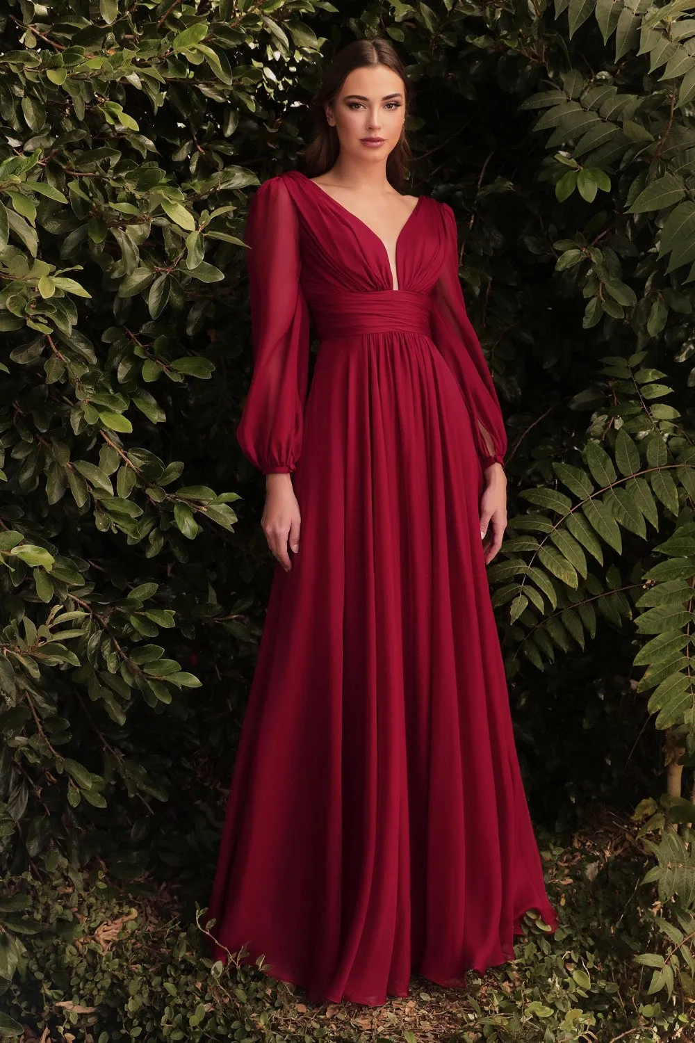 Cinderella Evening Dress CD0192