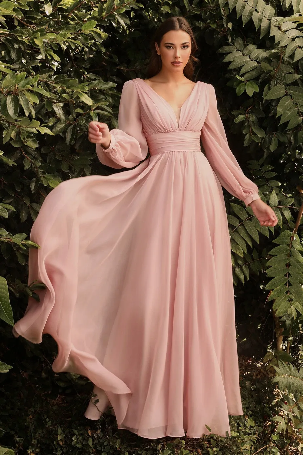 Cinderella Evening Dress CD0192