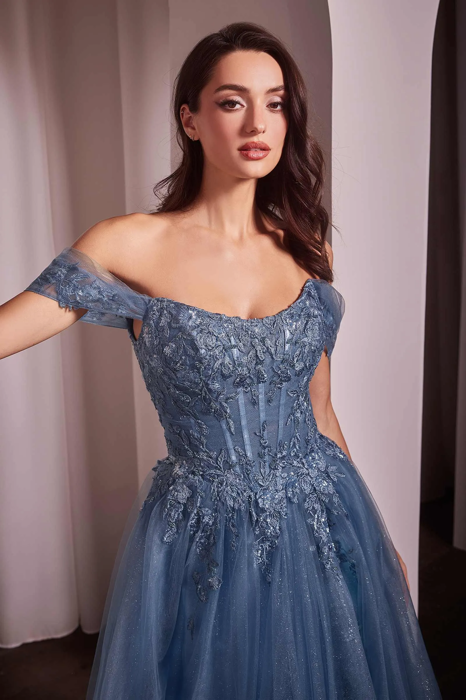 CLEARANCE - Ladivine CD799 Long Off The Shoulder A-Line Ball Gown (Size 10)