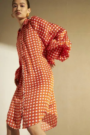 Cuin   I    Victorian Shirt Dress