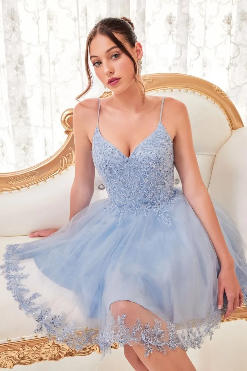 Dama- CD0213