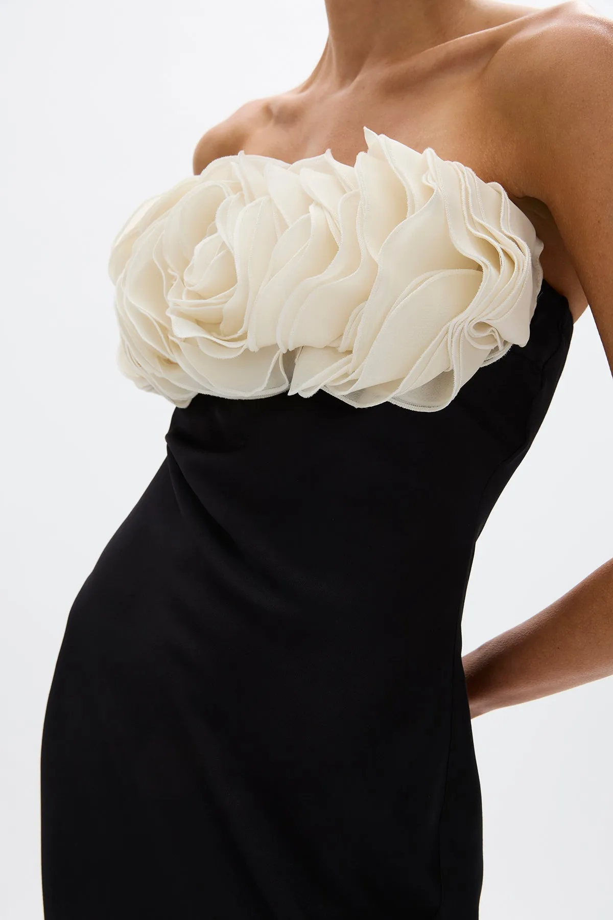 FIORELLA GOWN