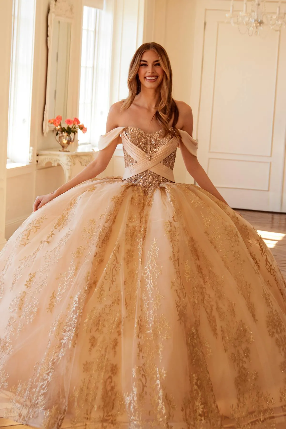 Juliet JT1488H Royal Princess A-Line Ball Gown Quinceanera