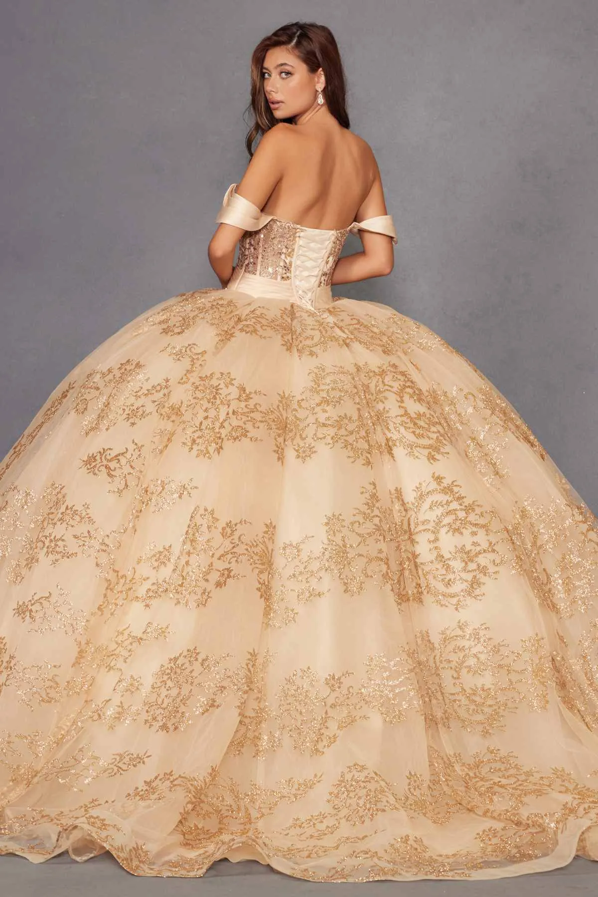 Juliet JT1488H Royal Princess A-Line Ball Gown Quinceanera