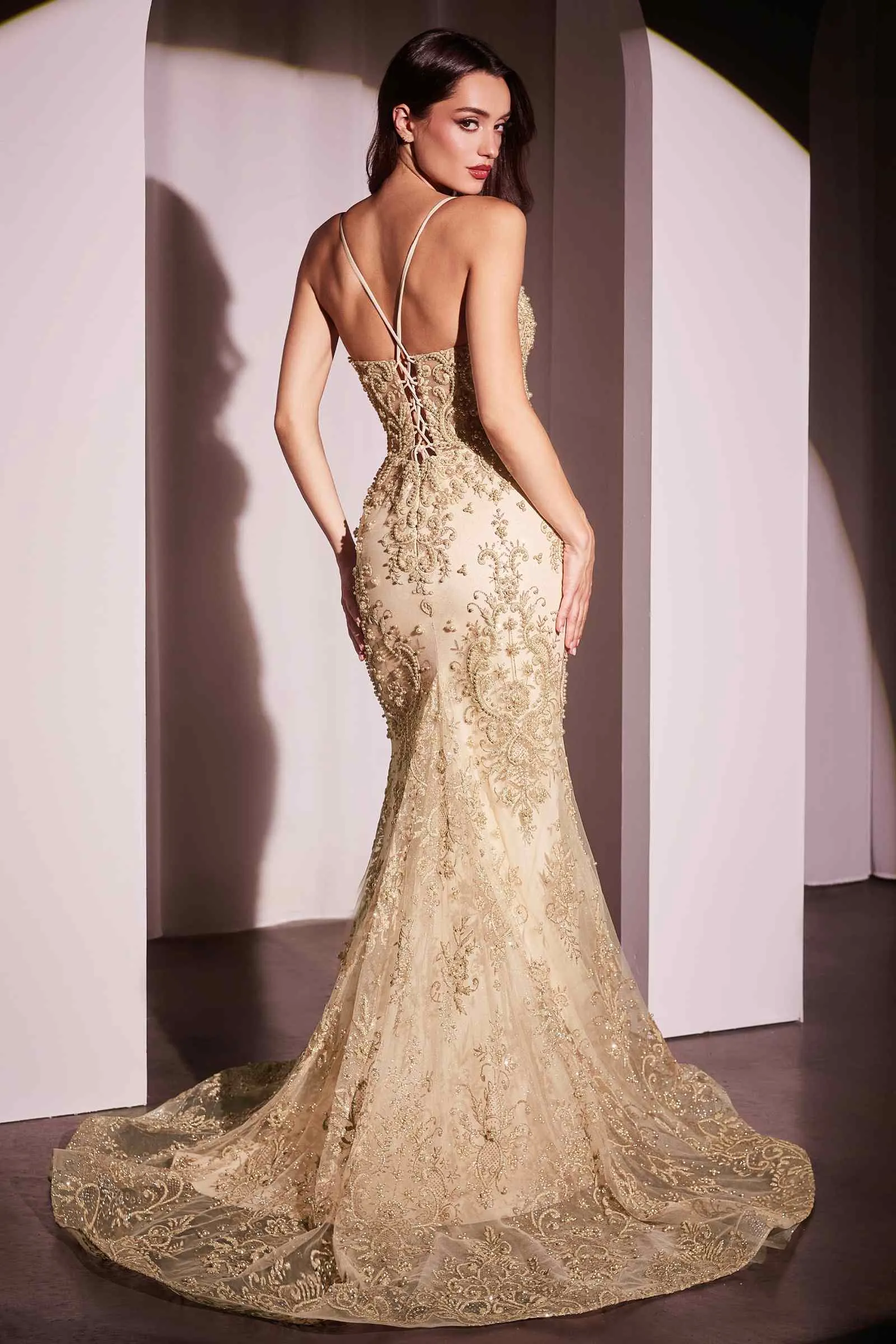Ladivine CC2403 Dress Pearl & Lace Embellished Fit & Flare Gown