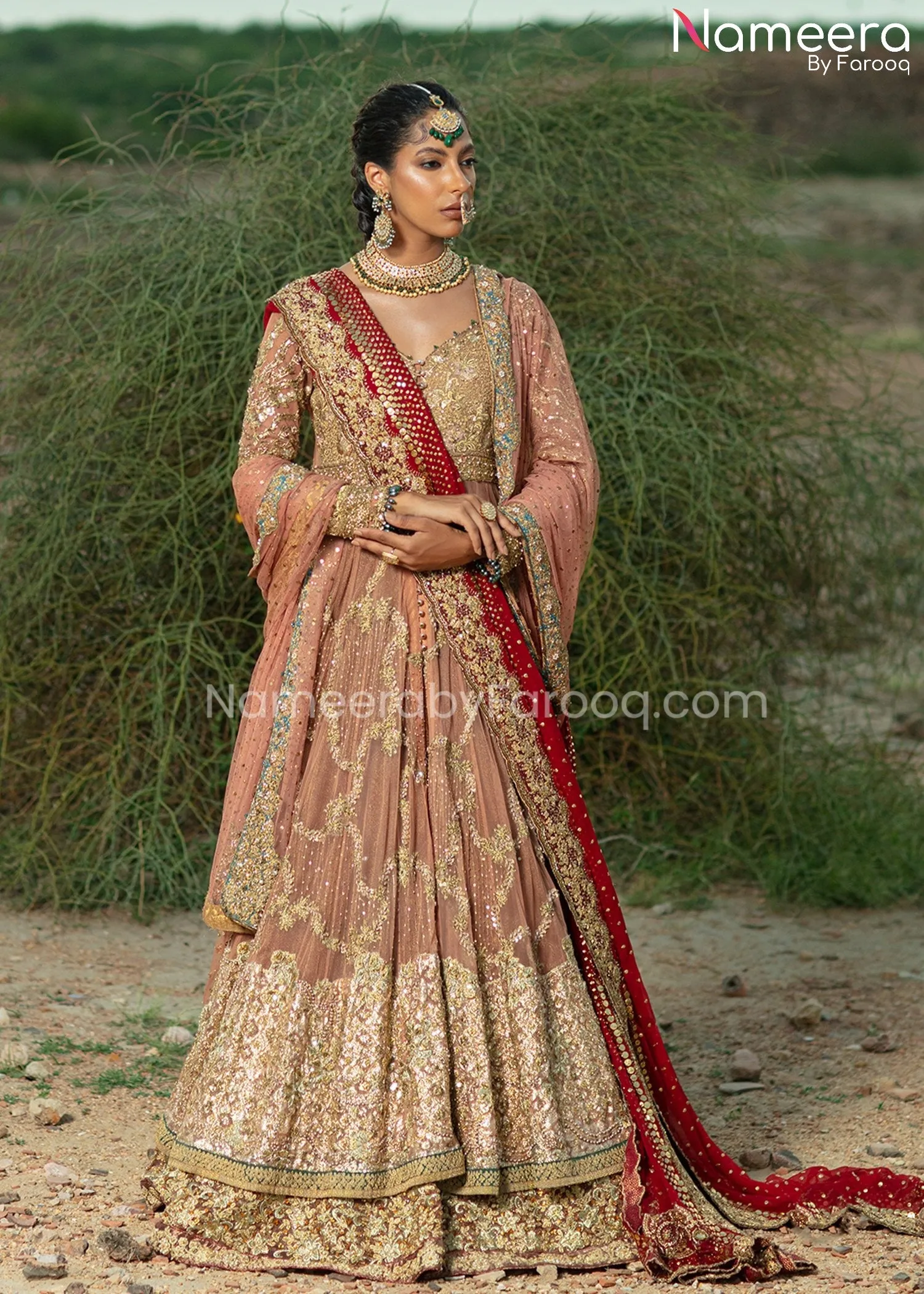 Latest Bridal Lehenga with Traditional Gown #BS658