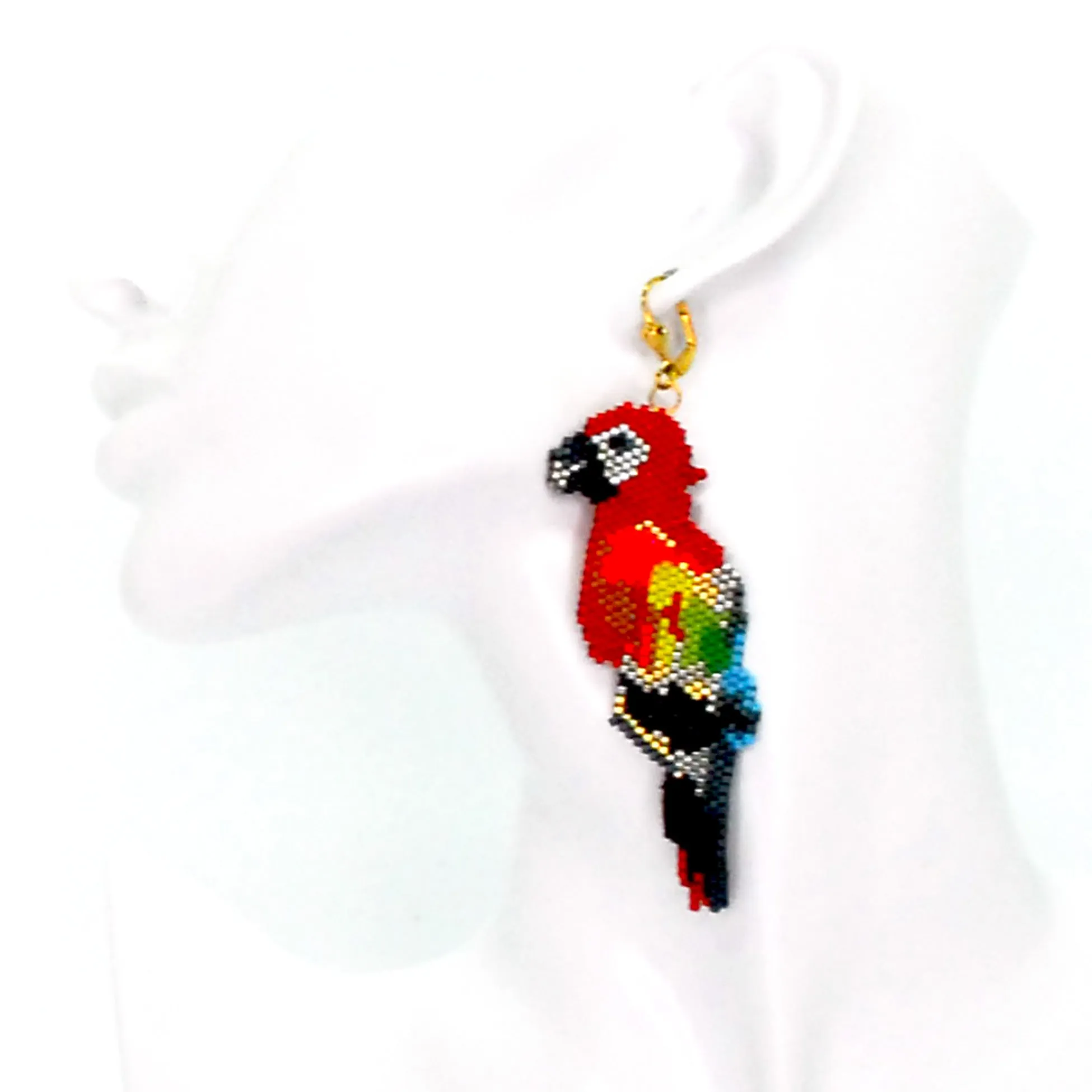 Libia: Scarlet Macaw