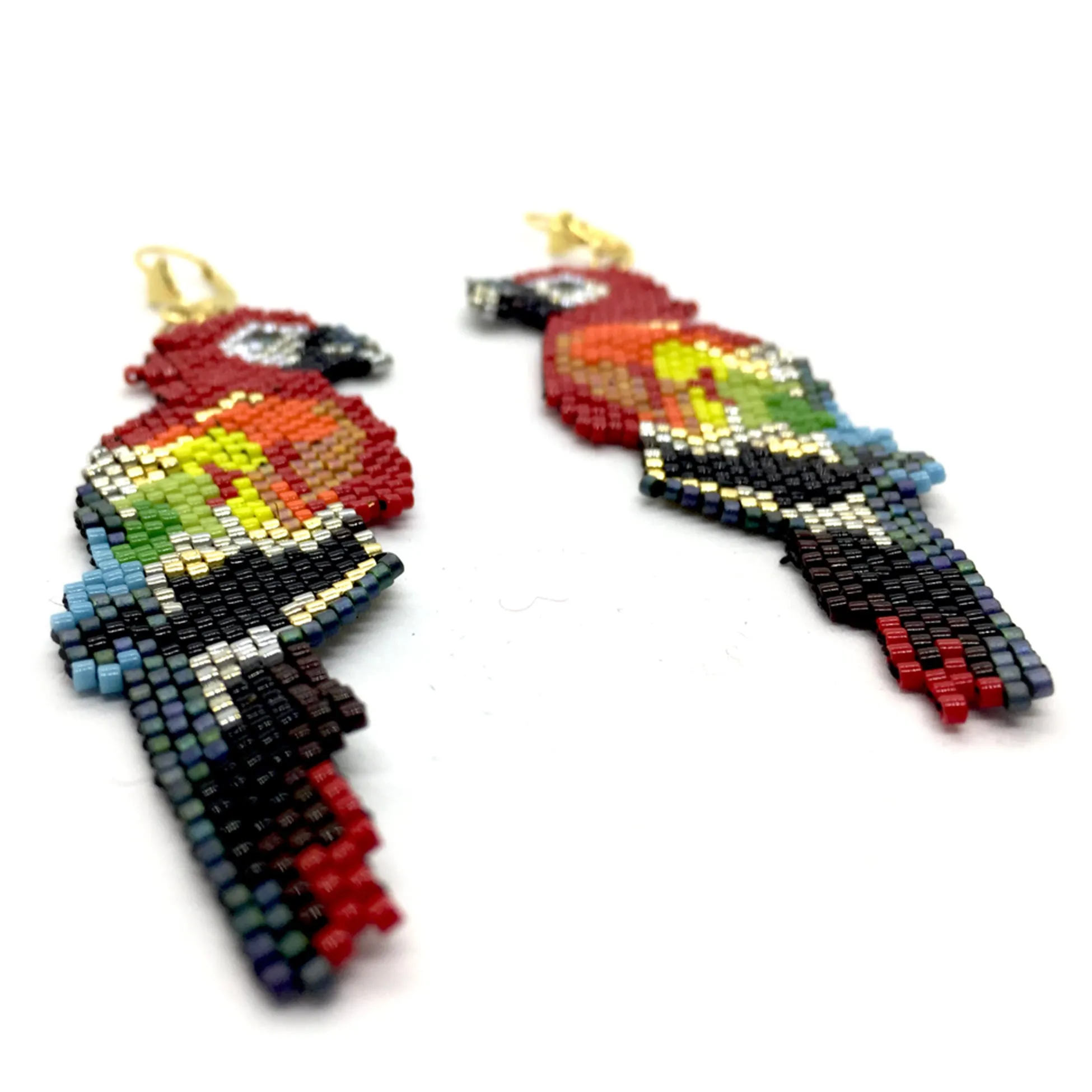 Libia: Scarlet Macaw