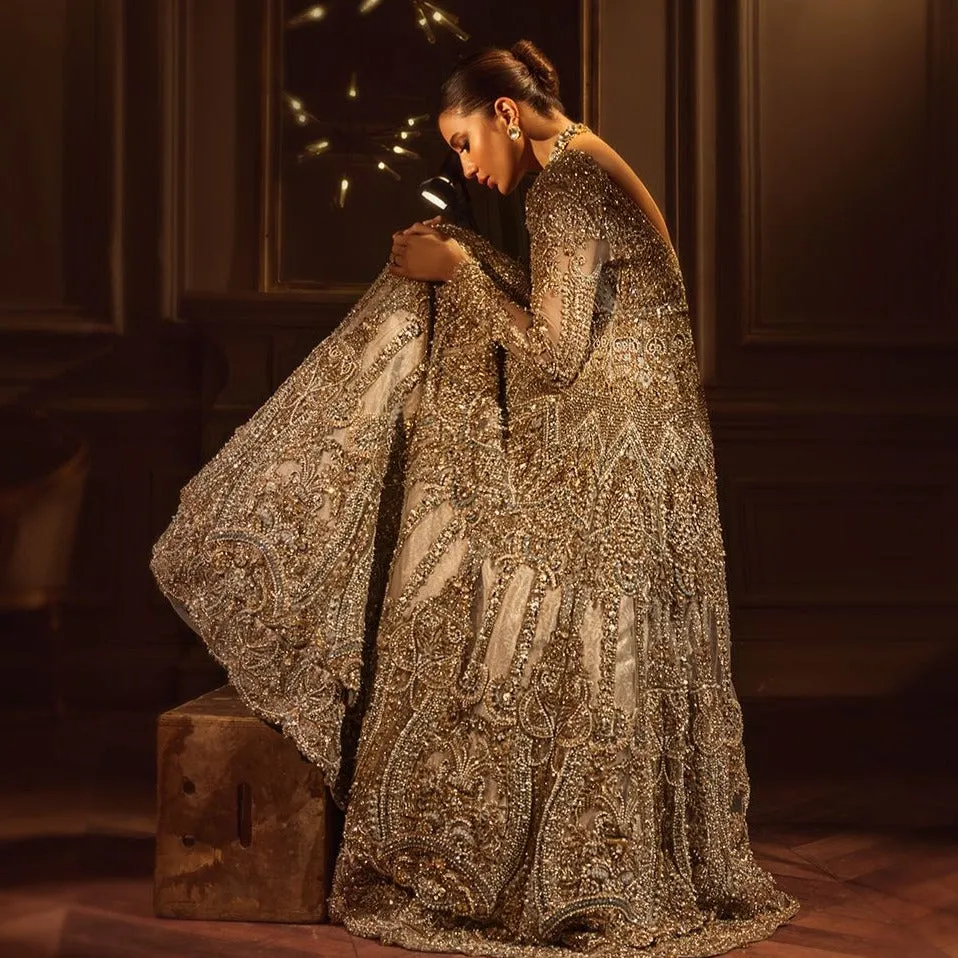 Long Tail Gown Style Dress for Indian Bridal Wear