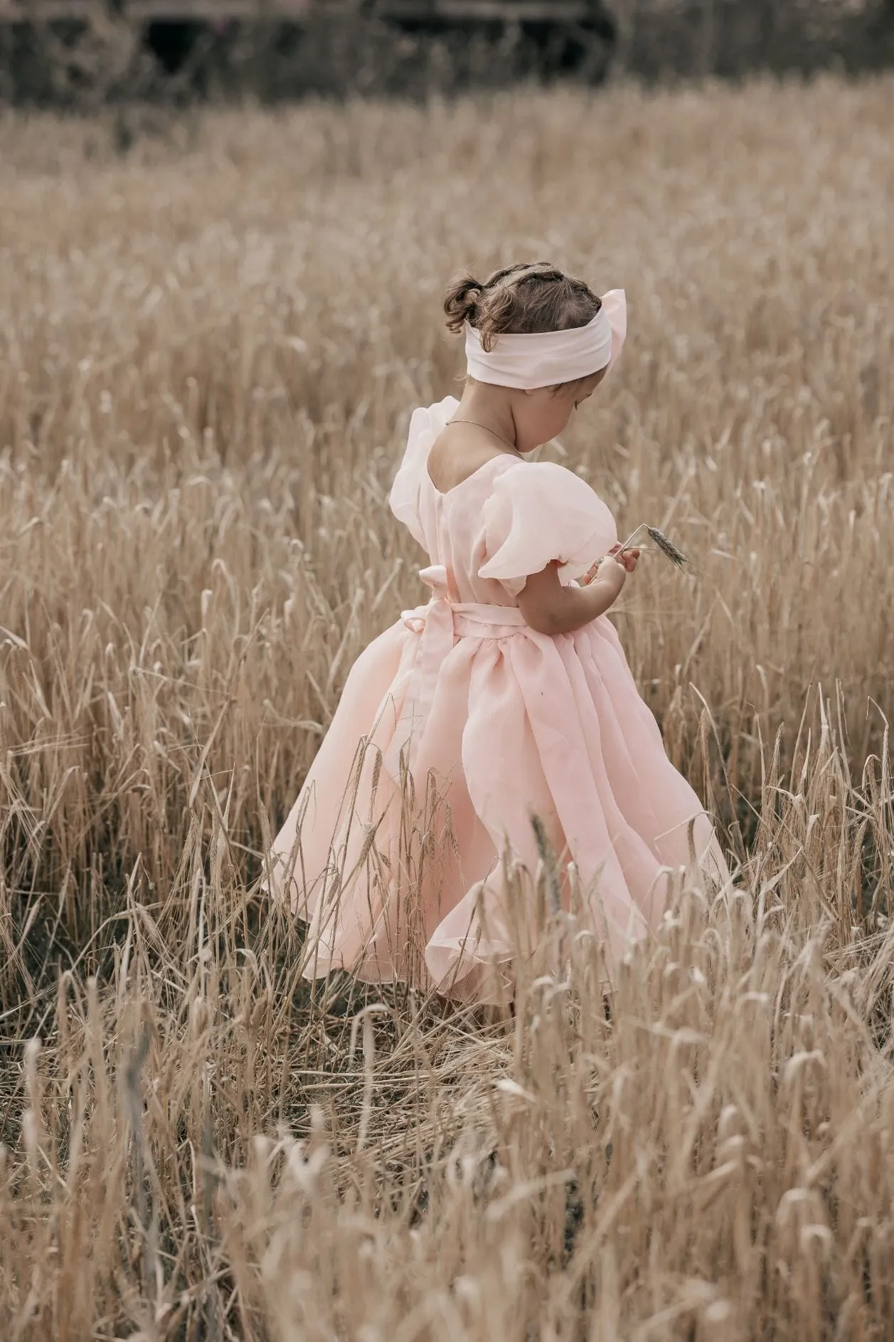 Organza - Dress - Pink