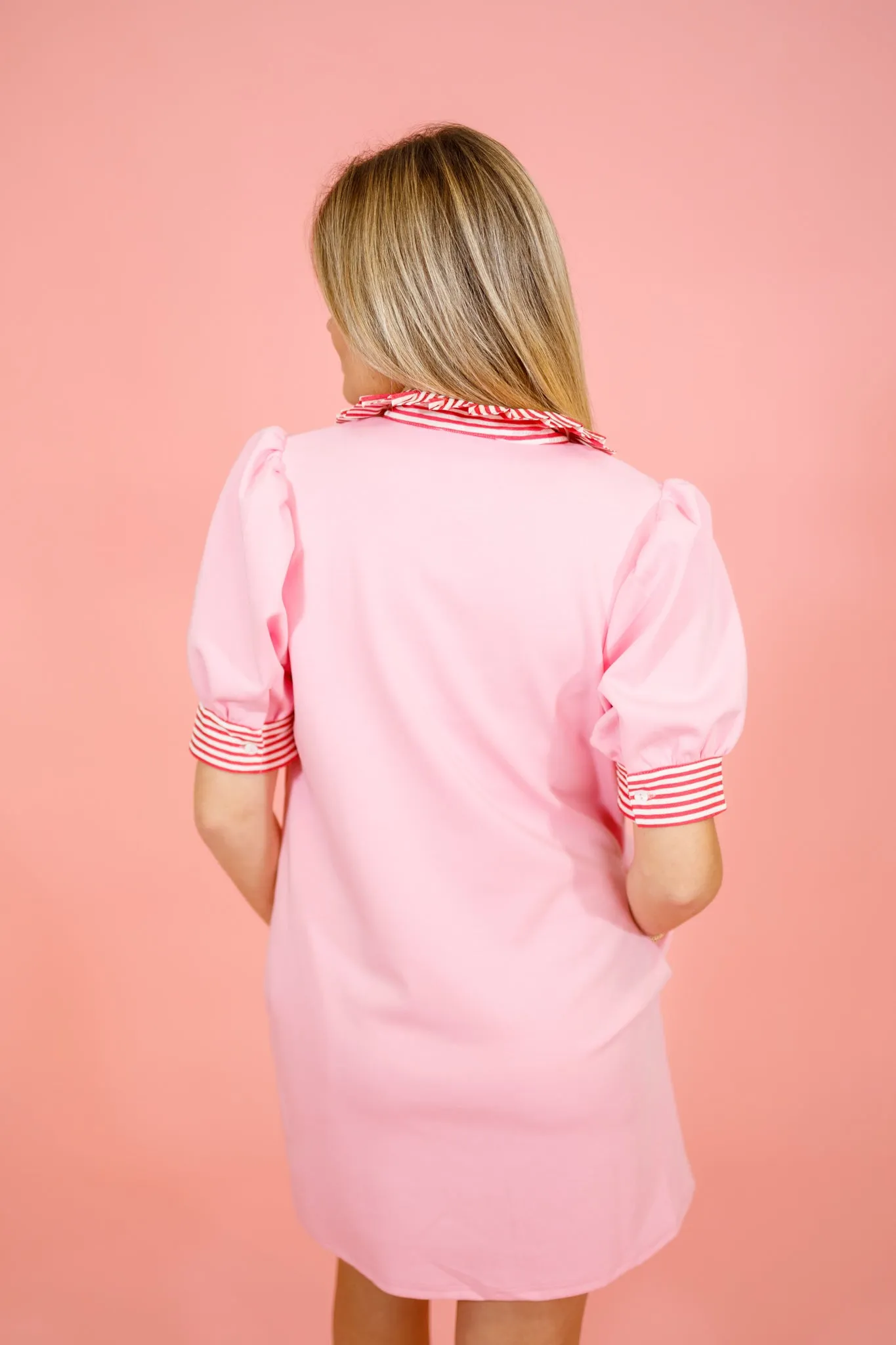 Pink Stripe Collar Dress