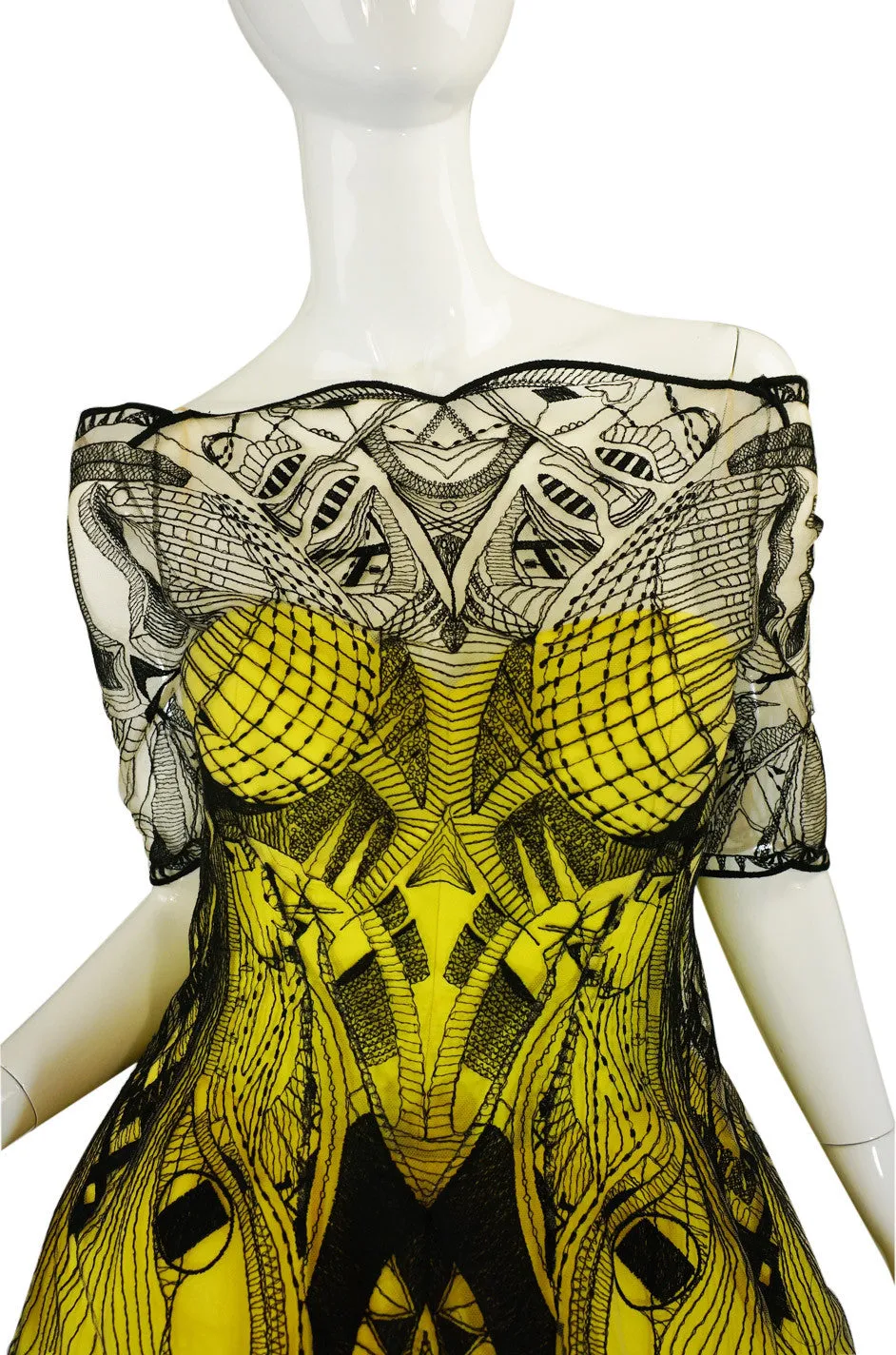 R2010 Alexander McQueen Tattoo Dress