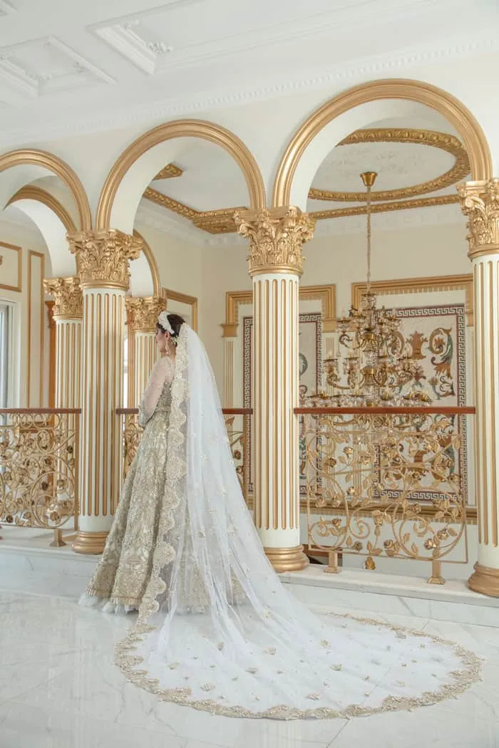 Royal Pakistani Wedding Gown in Premium Net #BS810