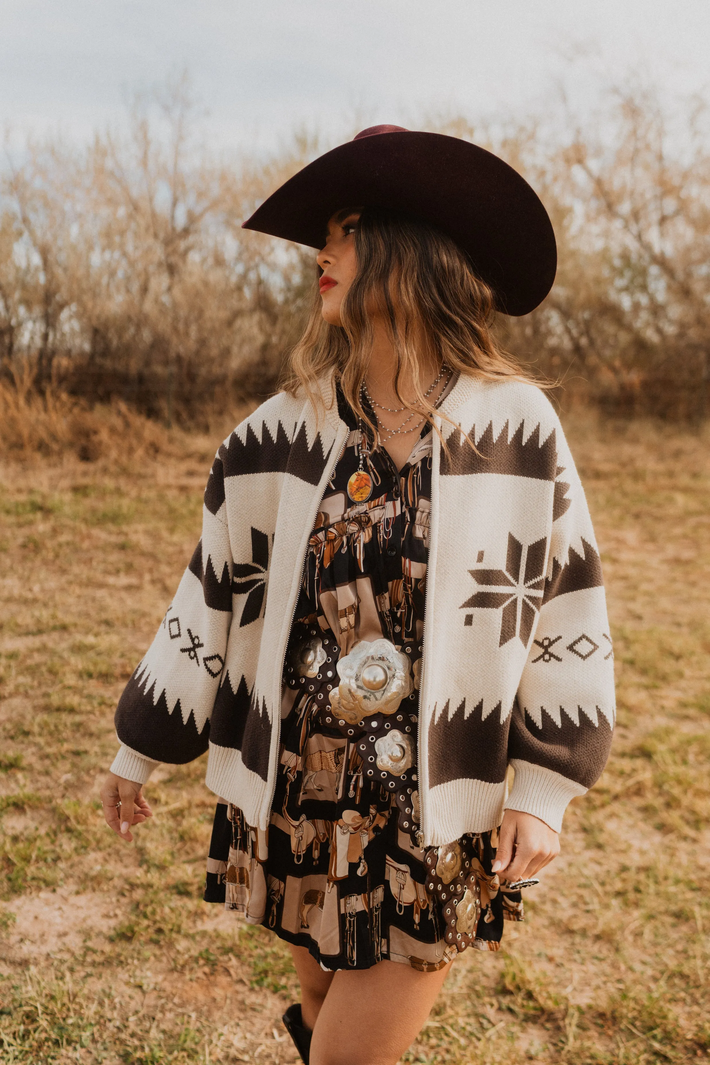 Saddle Club Dress