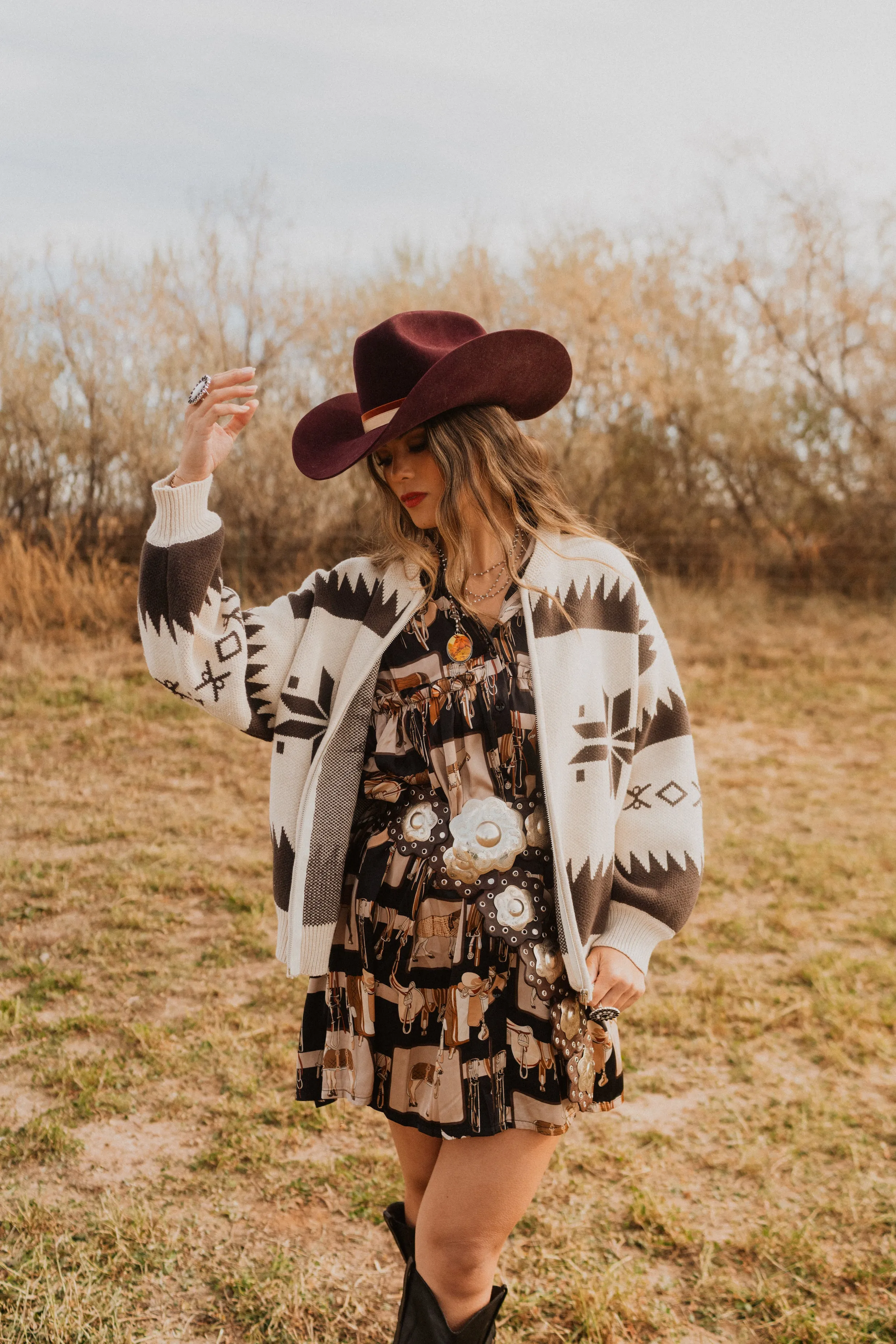 Saddle Club Dress