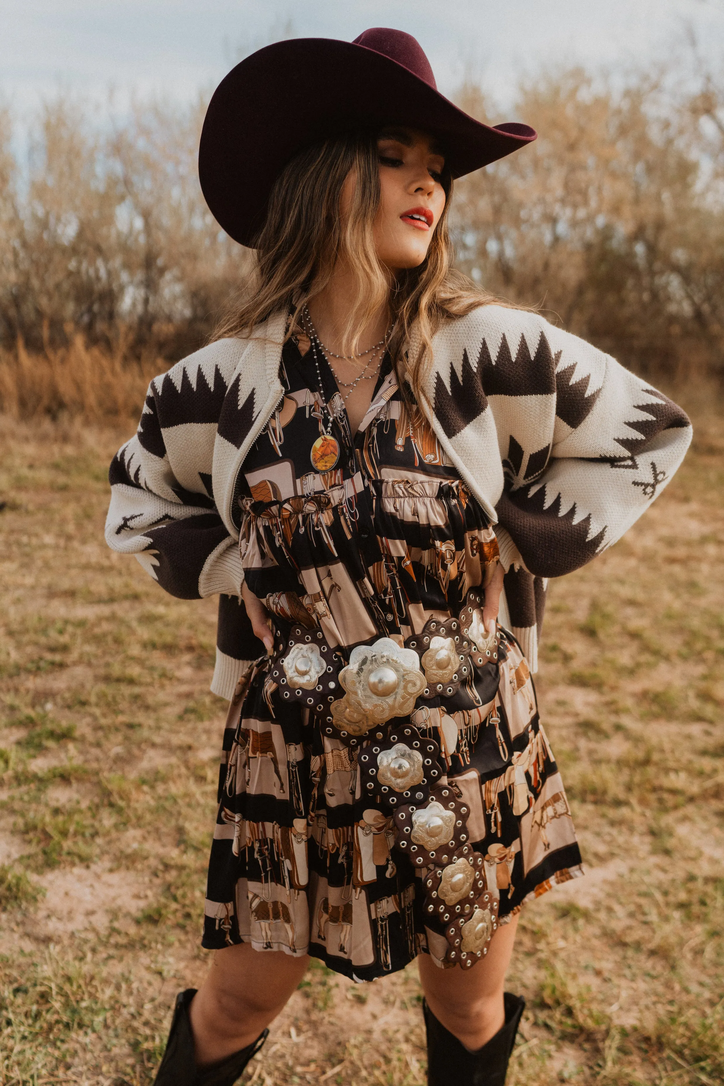 Saddle Club Dress