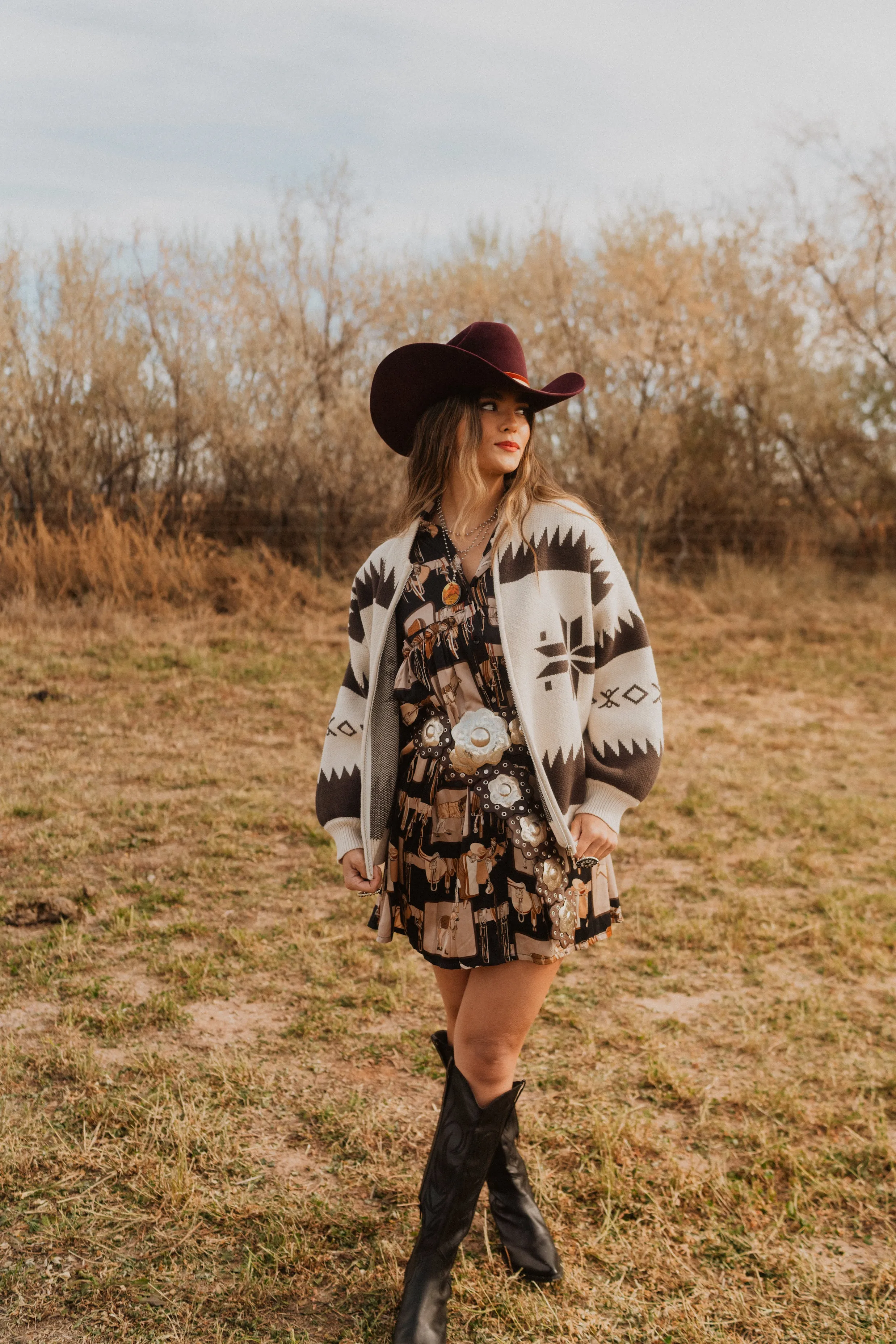 Saddle Club Dress