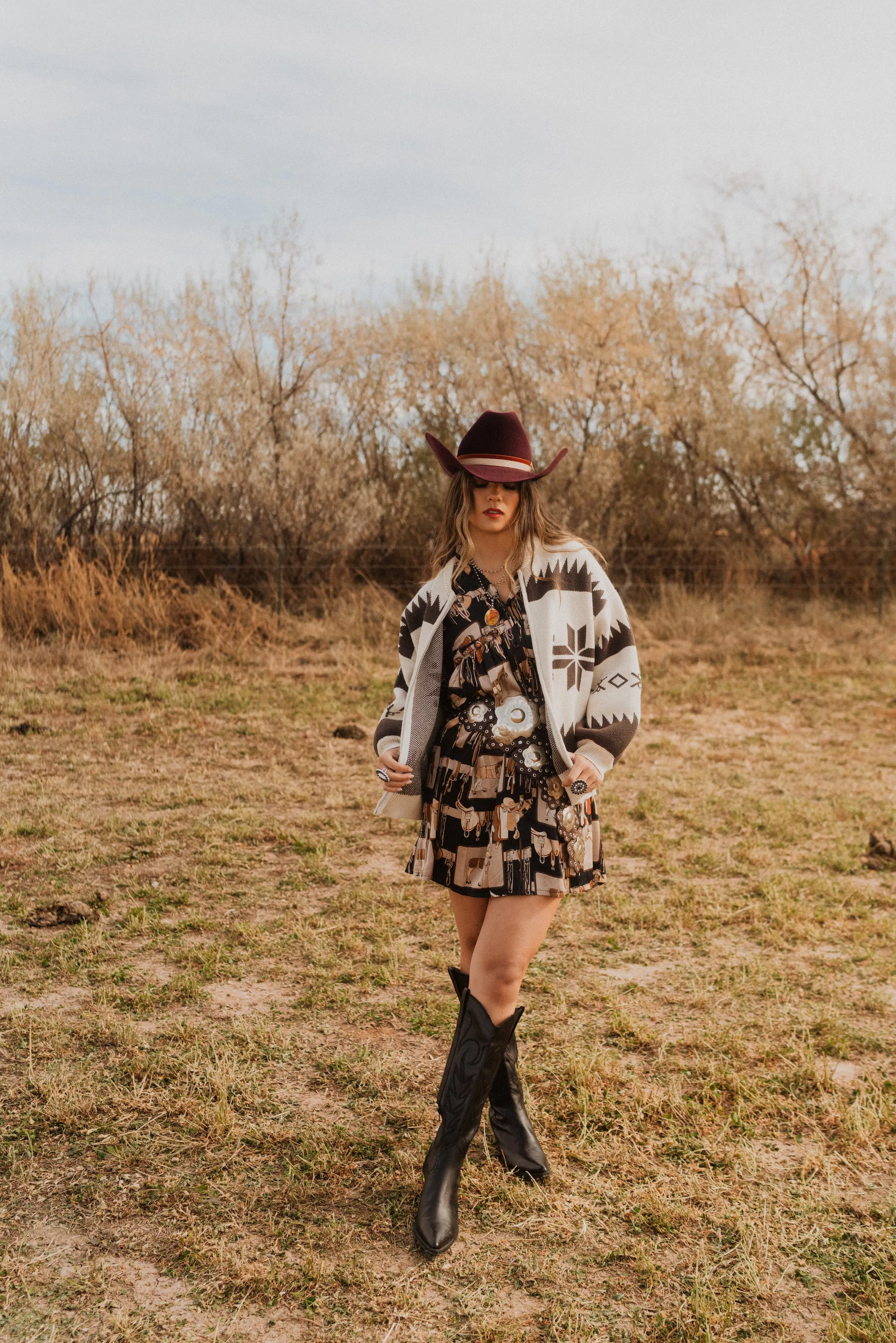 Saddle Club Dress