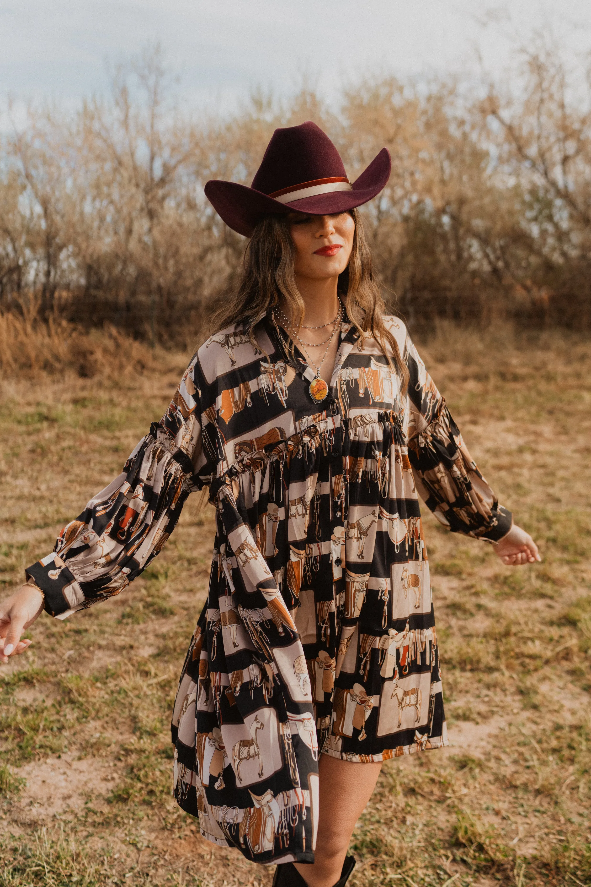 Saddle Club Dress