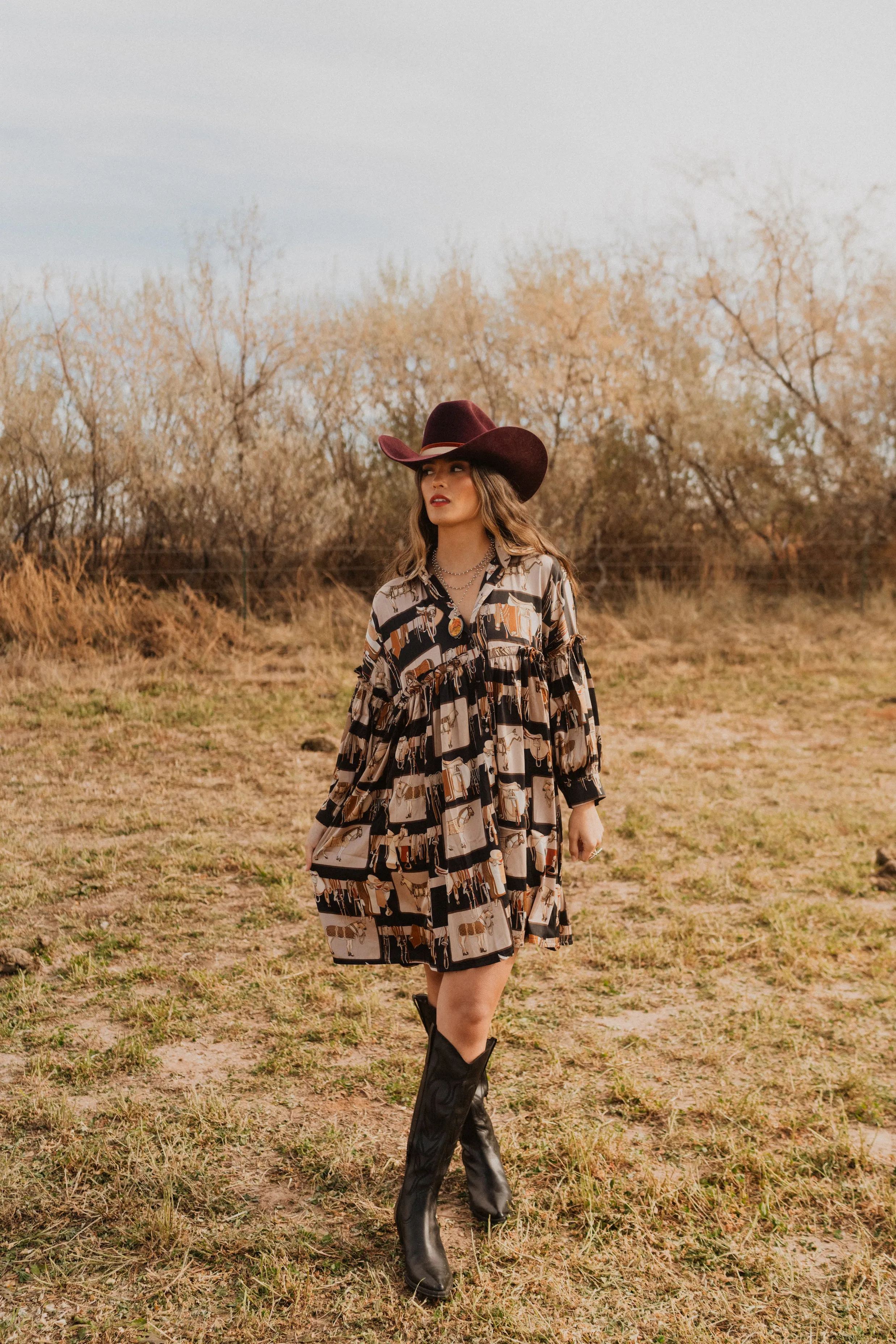 Saddle Club Dress
