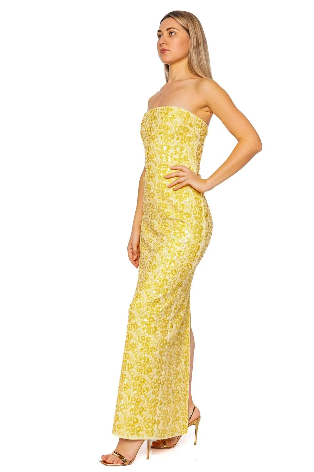 Savia Buttercream Embellished Bustier Gown