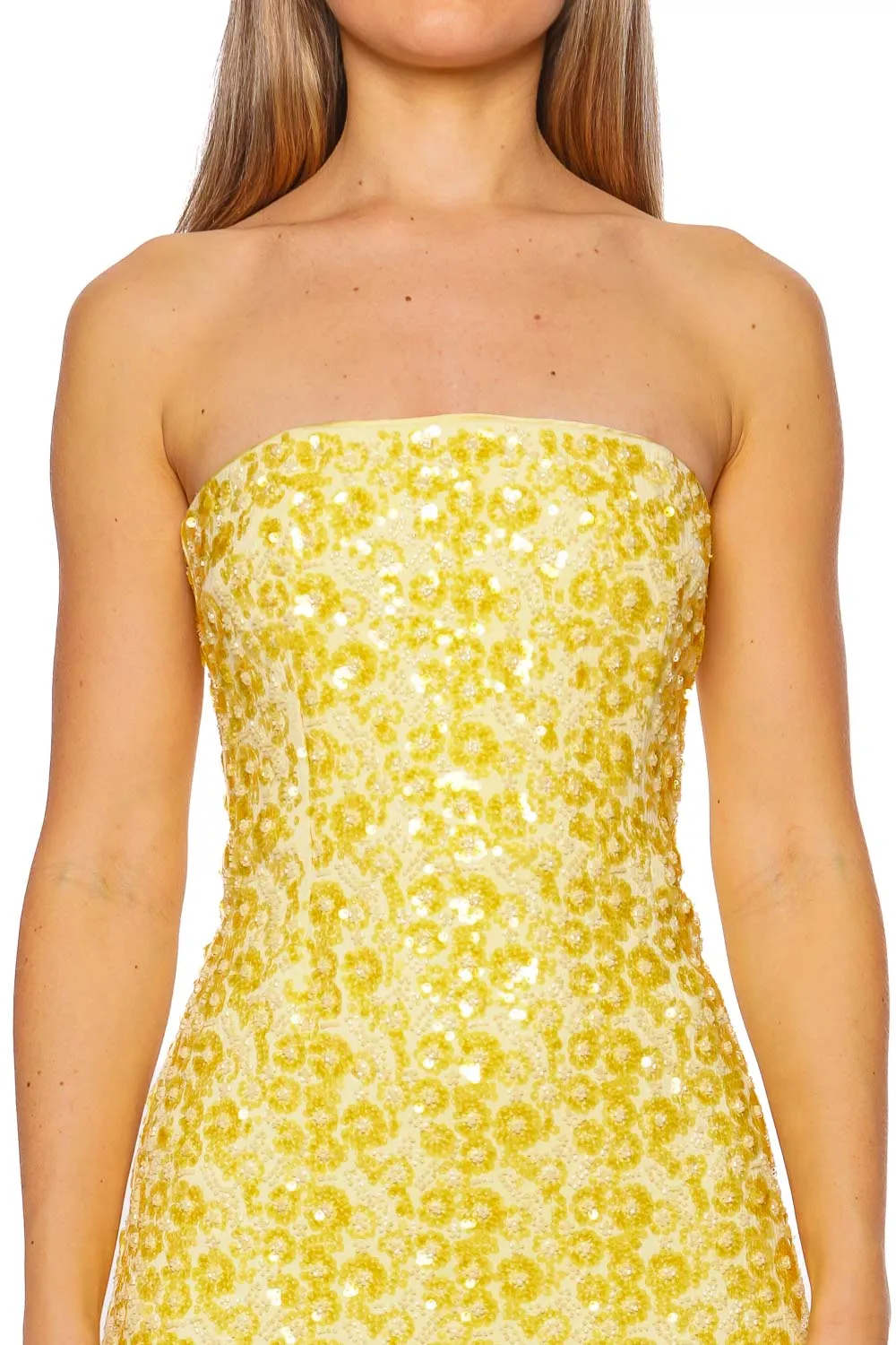 Savia Buttercream Embellished Bustier Gown