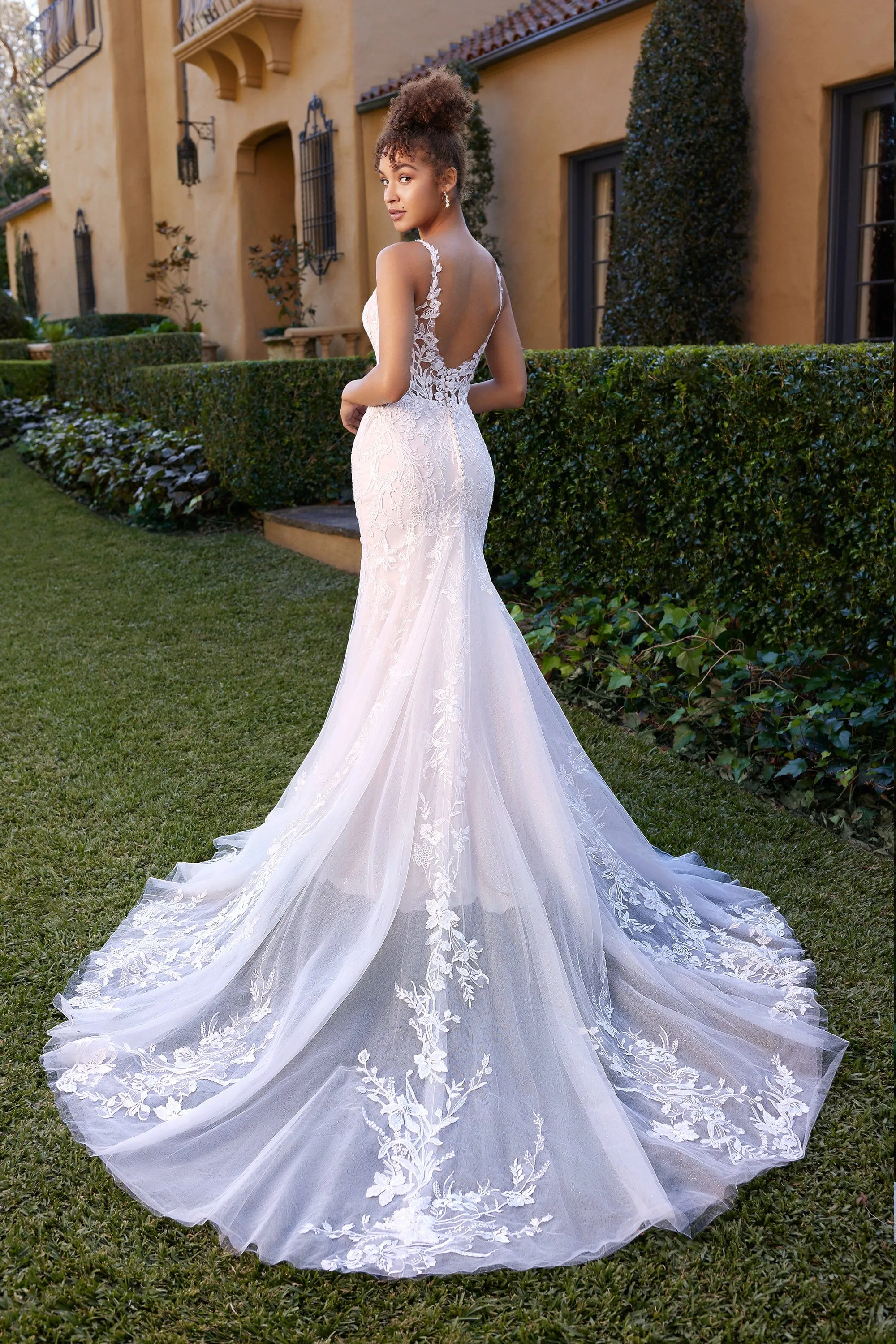 Sophia Tolli: Y3109 - Jackson