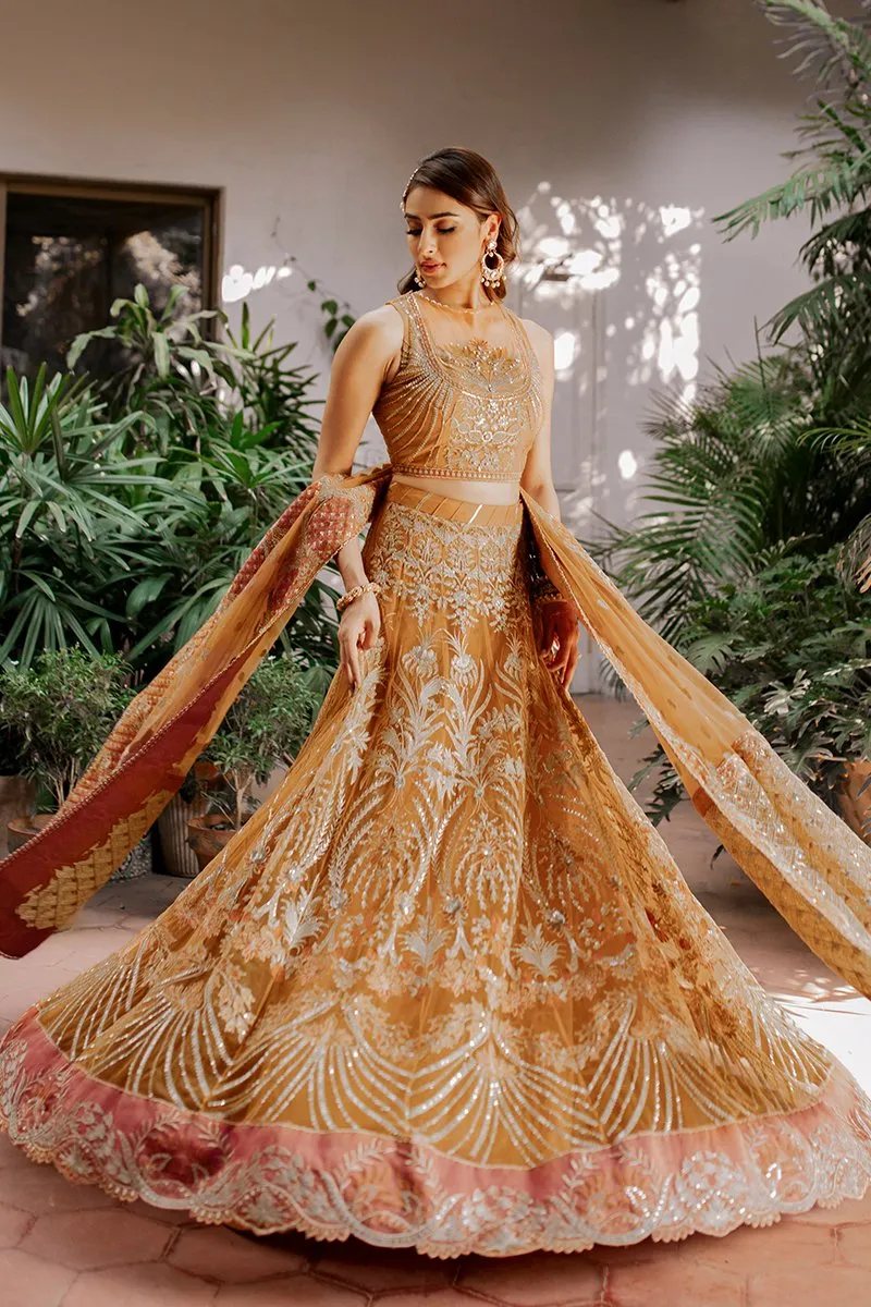 Tangerine Garnet | Mahgul The Empress's Dream Wedding Collection 2021 | Unstitched Embroidered Net Suits