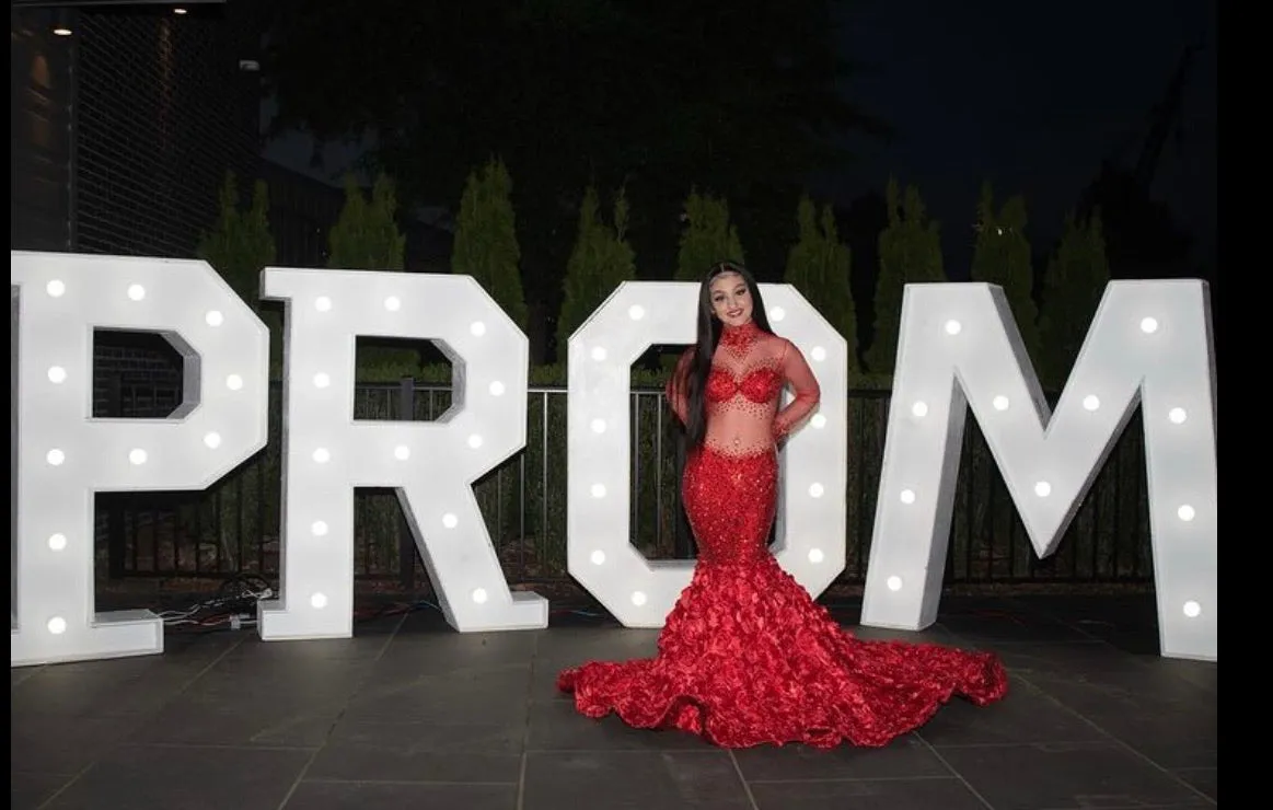 The YASMINE Gown
